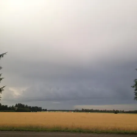 Majatalo Myoetaetuuli 3* Pitkajarvi (Southern Finland)