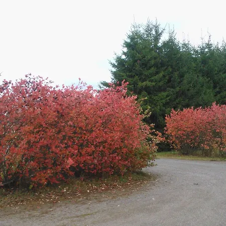 게스트하우스 Majatalo Myoetaetuuli 3*